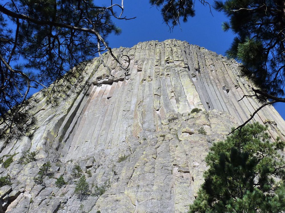 Devil tower (50).JPG